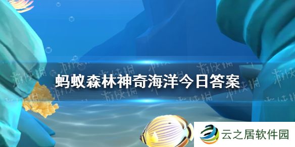 猜一猜海仙人掌是以下哪种海洋生物 神奇海洋1月2日答案